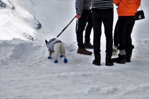 Snow Pants