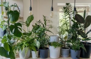 Gifts for Parents