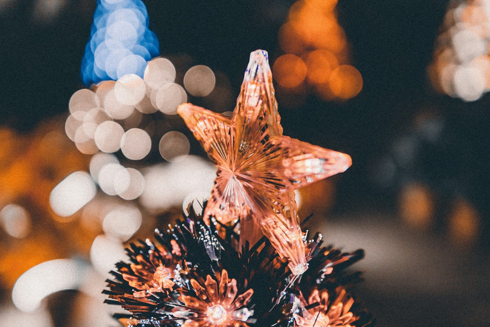A Christmas start on the tree