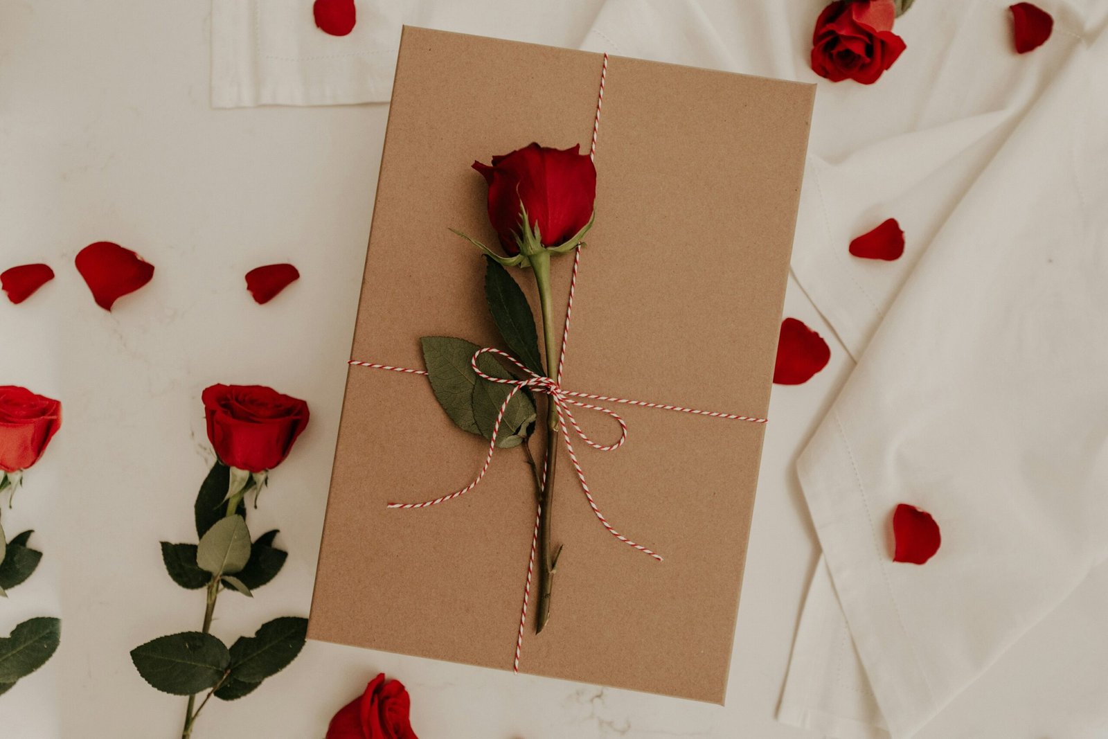 view of roses with a letter