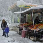 winter fruits