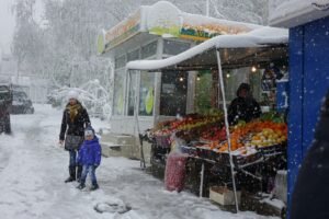 winter fruits