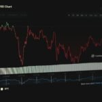 meta stock split