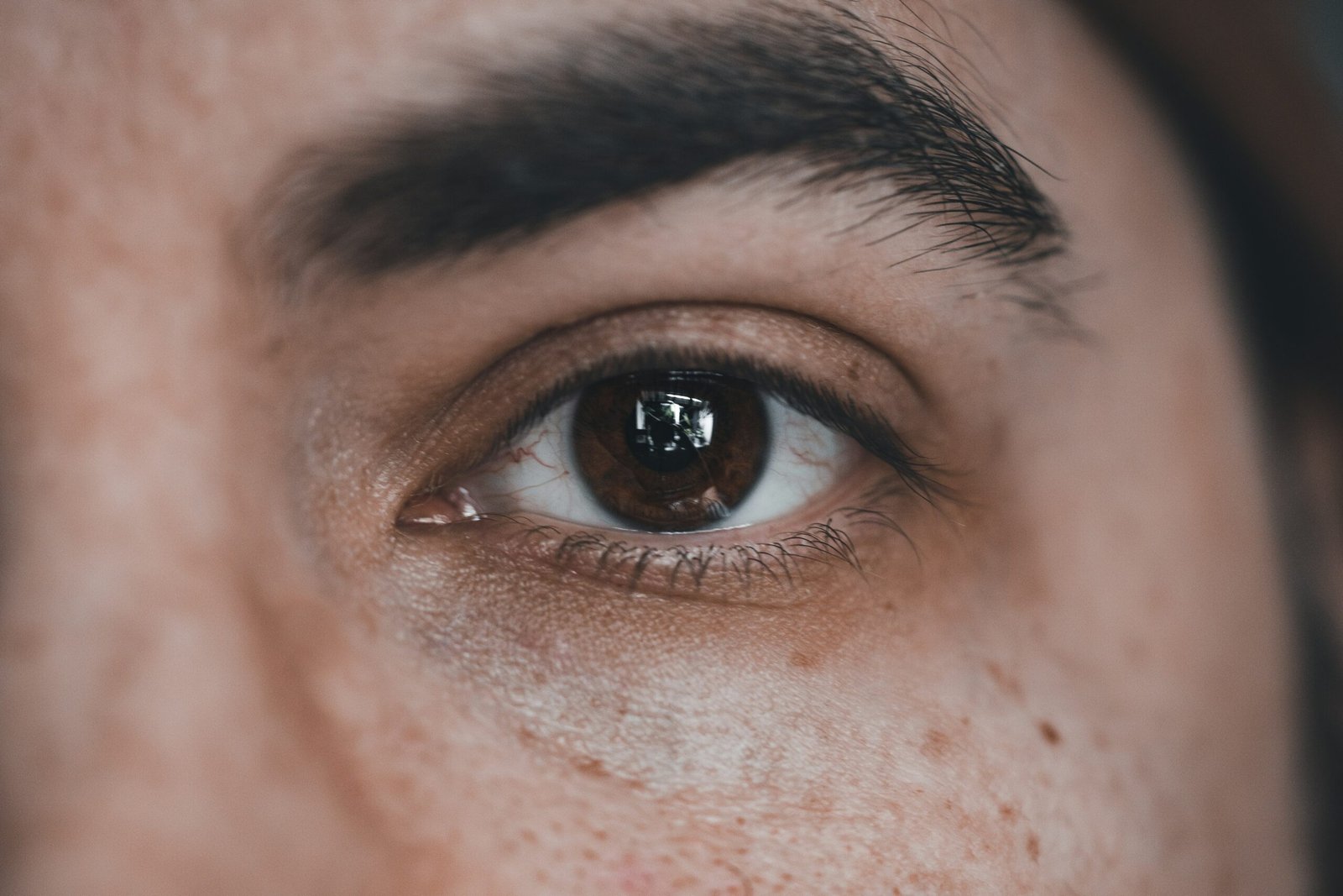 image of an eye
