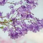 The Deep Beauty of Indigo Color
