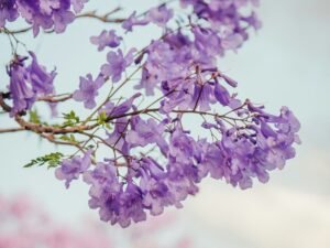 The Deep Beauty of Indigo Color