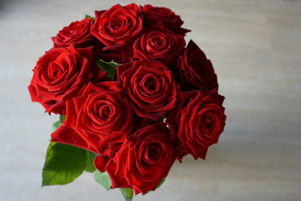 red rose bouquet
