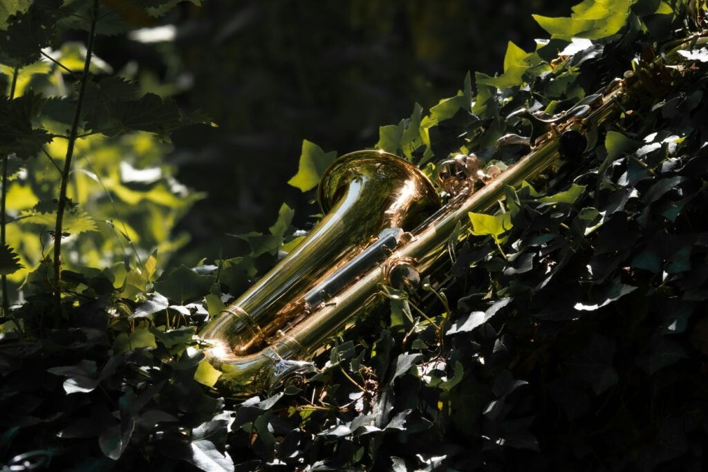 saxophone drawing