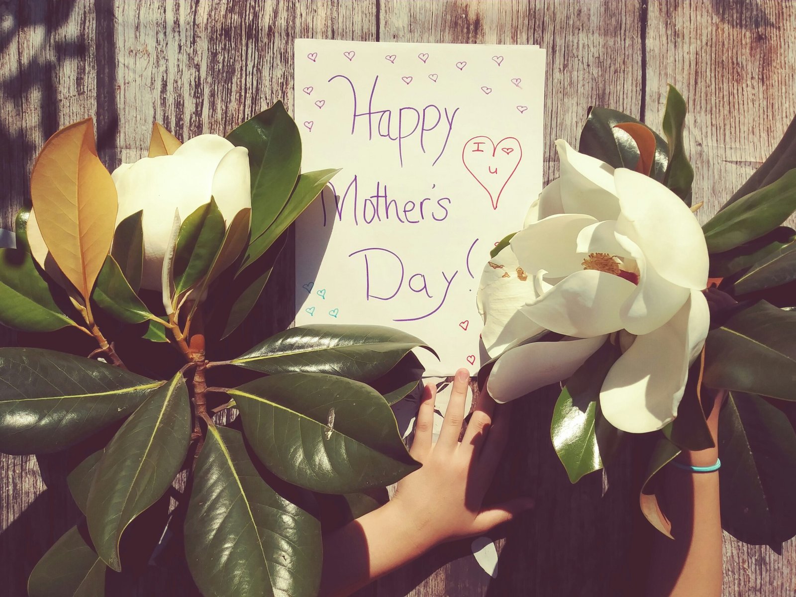 Mothers Day Brunch Celebration Guide