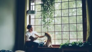 Best Pets for Apartments: Smart Companion Choices