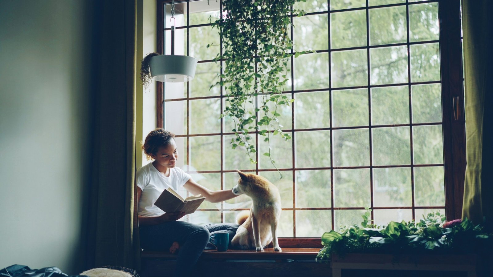 Best Pets for Apartments: Smart Companion Choices