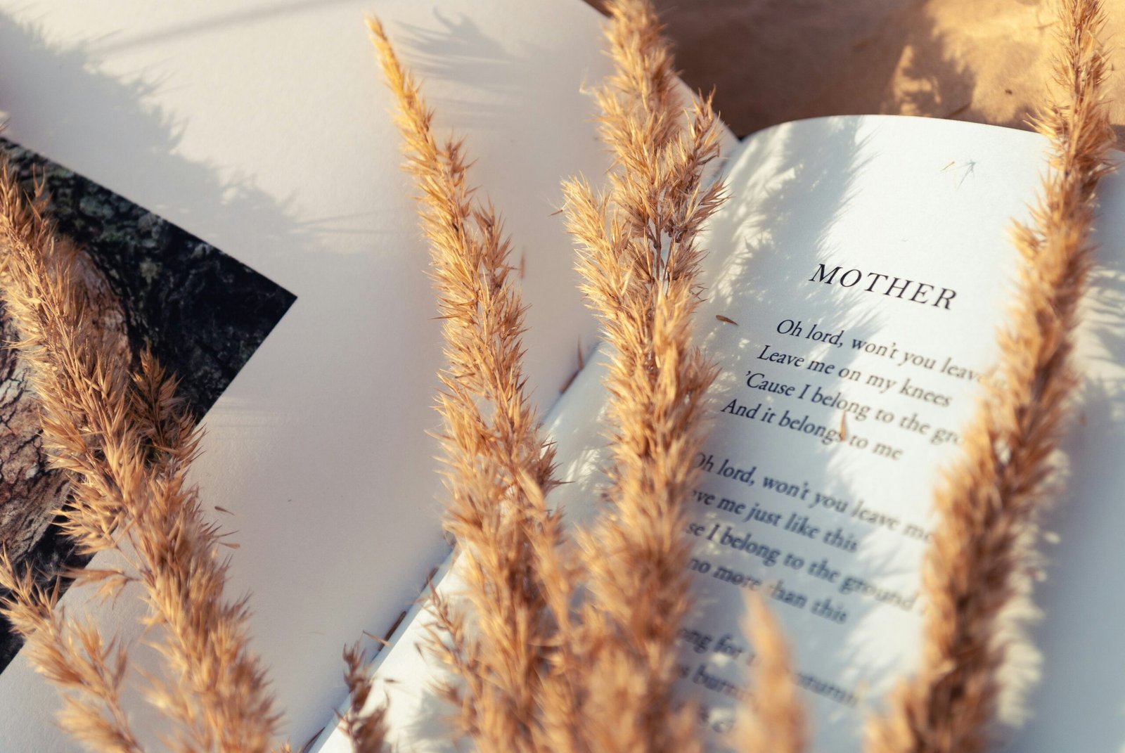 mothers day quotes