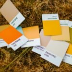Color Palette