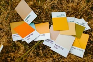 Color Palette