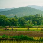 thailand rainy season
