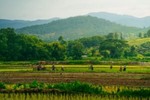 thailand rainy season